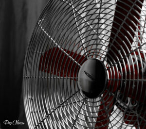 le ventilateur rouge – red fan