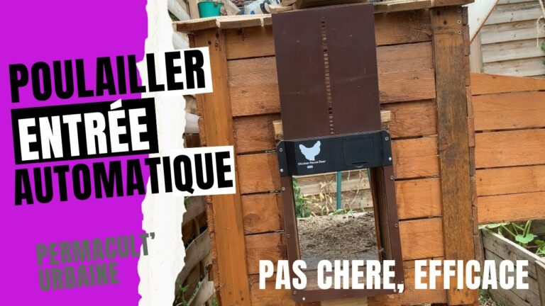 Découverte de la porte automatique pour poulailler