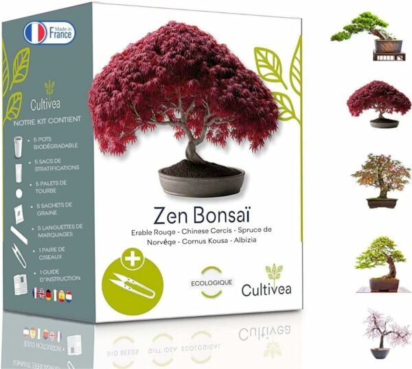 100% Eco Bonsai Mini Kit - Made in France